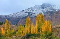 San Martín de los Andes - Bariloche