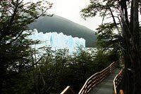 Paseo al Glaciar Perito Moreno