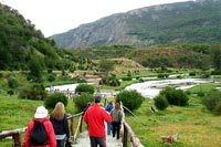 Sendero por el Parque Nacional Tierra del Fuego