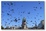 Turismo en la Ciudad de Buenos Aires: Congreso