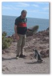 Pingüinera Punta Tombo