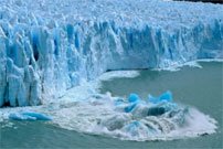 calafate ushuaia