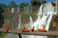 vacaciones de invierno