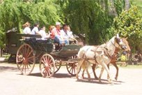 dia de campo
