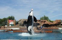 excursion a mundo marino